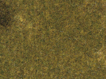 Auhagen 75117 <br/>Herbstwiesenmatte 1